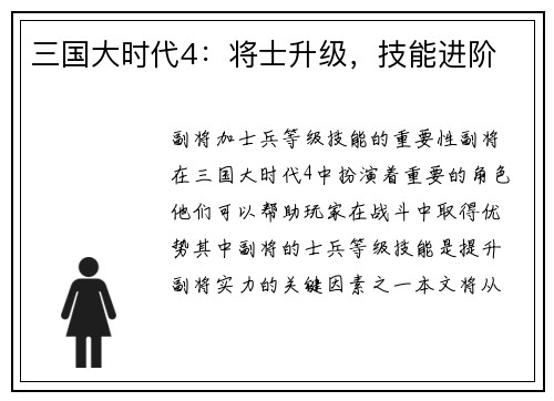 三国大时代4：将士升级，技能进阶